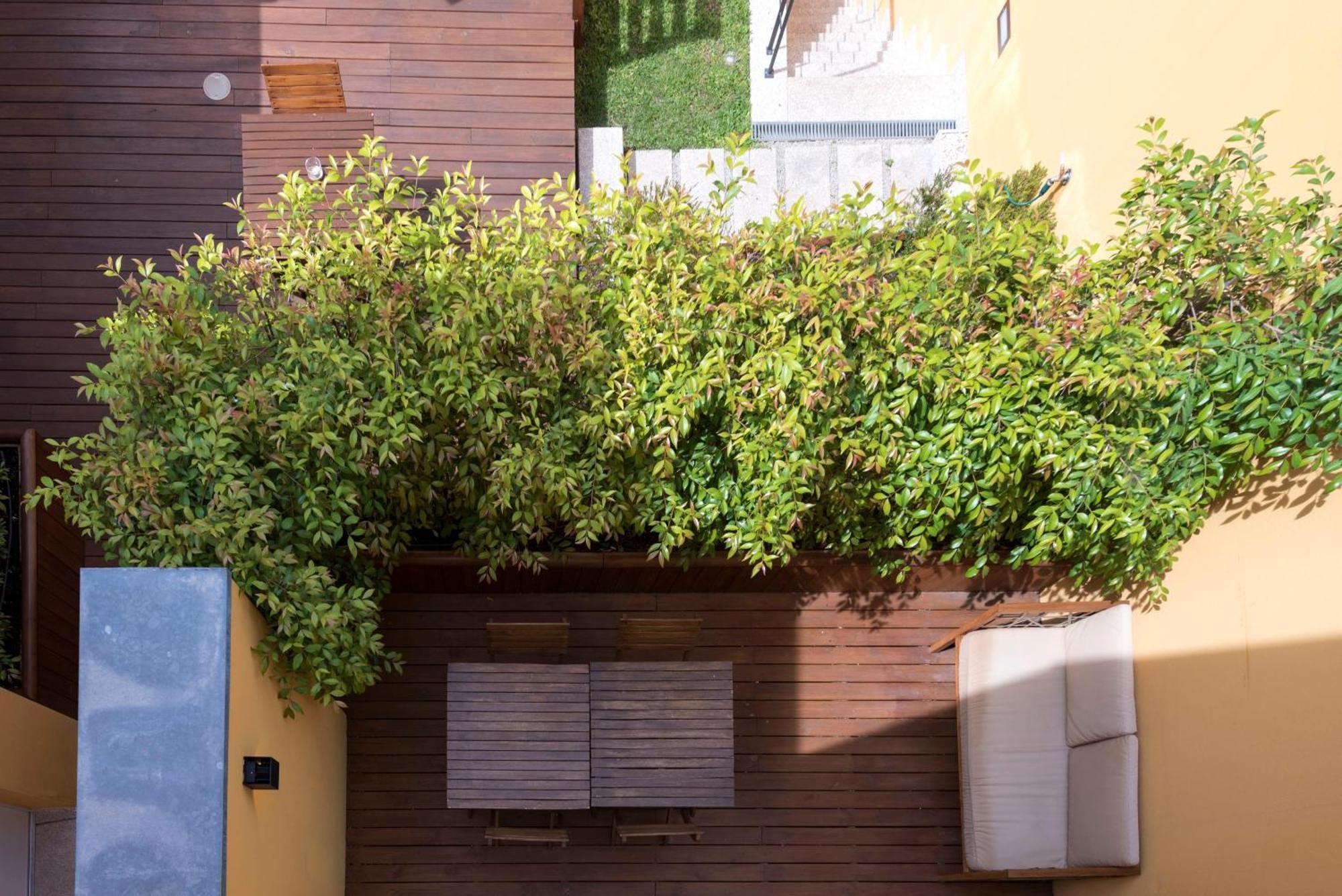 Bloom House By Sweet Portoアパートメント 部屋 写真